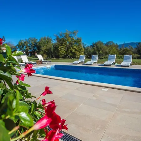 Modern Villa With Private Swimming Pool In Krsan Plomin
